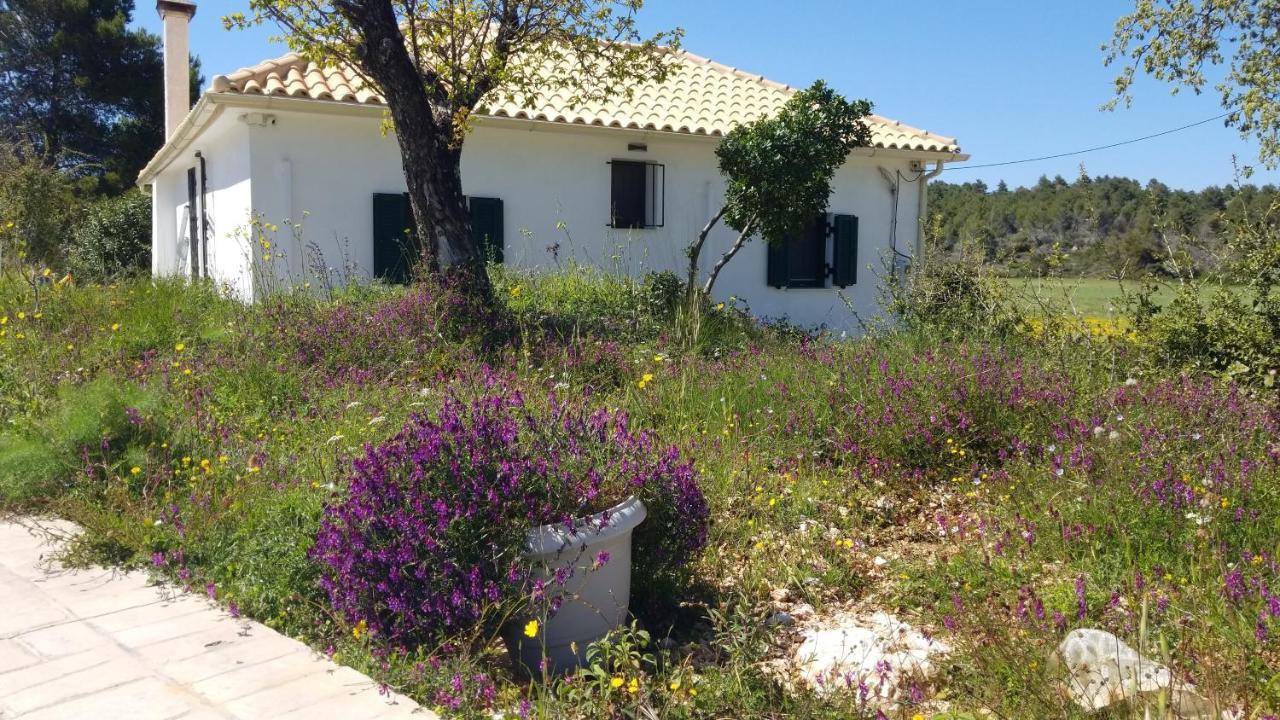 Dorinda Apartment Agia Marina  Exterior photo