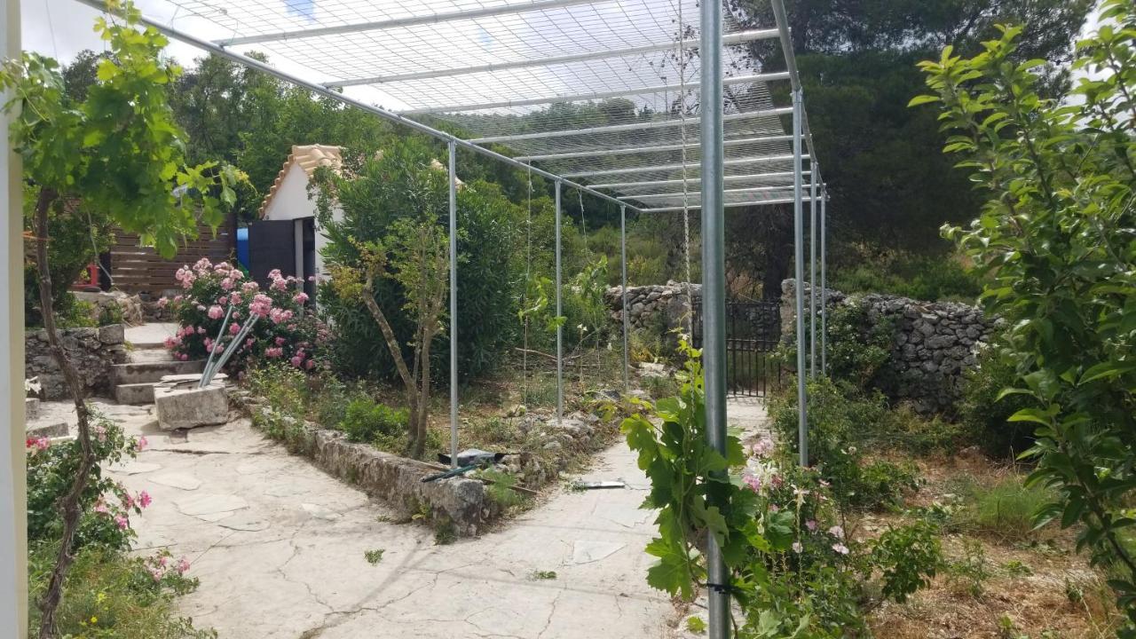 Dorinda Apartment Agia Marina  Exterior photo